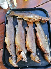 IMG 20230930 160741
